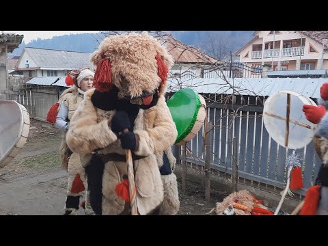 Traditii si obiceiuri de Anul Nou (Ursul 2020-2021) Piatra Neamt - Vadurele [4k]