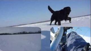 preview picture of video 'Avec le vent, la neige et la glace... - Créé par Michel Provencher'