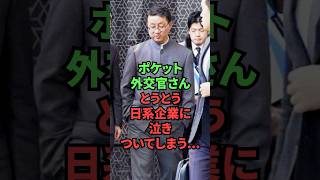 ポケット外交官さん、とうとう日系企業に泣きついてしまう