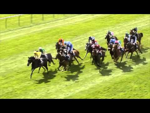2013 Qipco 1000 Guineas - Sky Lantern