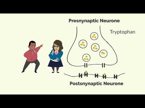 How Zoloft (Sertraline) Works