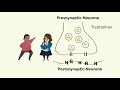 How Zoloft Sertraline Works