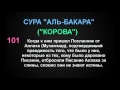 СУРА "АЛЬ-БАКАРА" ("КОРОВА") аят - 101 