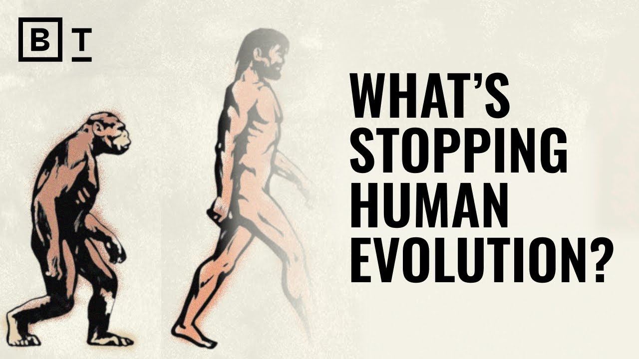 Everything about humanity is changing—except our bodies | Sean B. Carroll on evolution