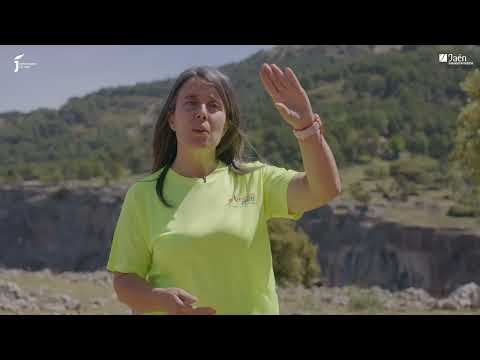 Memoria de los caminos