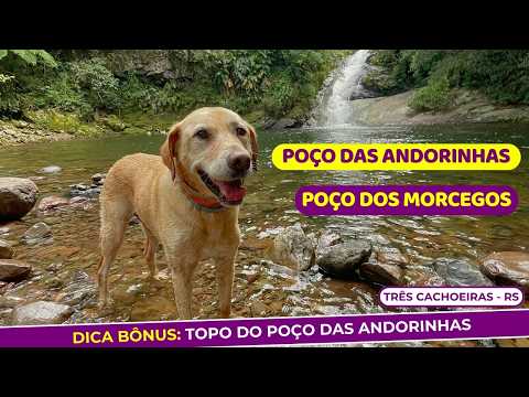 2 cachoeiras de nível FÁCIL: Poço das Andorinhas e Poço dos Morcegos - Três Cachoeiras (RS)