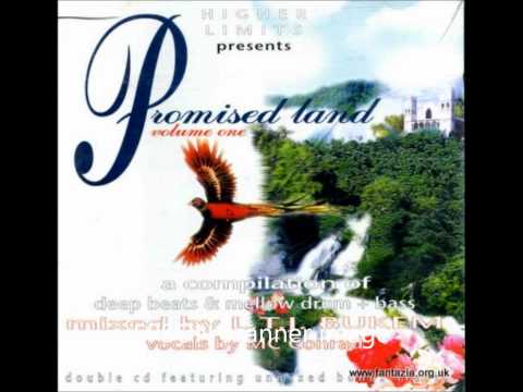 Adam F - F Jam (track n°5) [Promised Land Vol. 1]