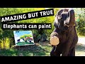 Paintings Made By Elephants In Thailand