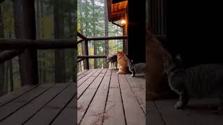 Download lagu 426 full https://youtu.be/ugKmdsKJ0EU mp3 Download lagu 426 full https://youtu.be/ugKmdsKJ0EU mp3