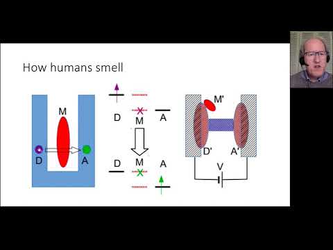 LCN Joint Seminar Series - Quantum Biology