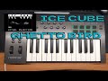 ICE CUBE GHETTO BIRD Cover