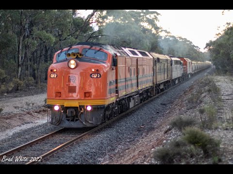 Trackside: CLF2, 44204, S311, 48s36 and CLF4 tackle Bealiba Bank with 7932V Birchip Grain- 26/5/22