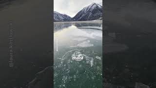 Whats In These Bubbles Trapped Under The Ice?!
