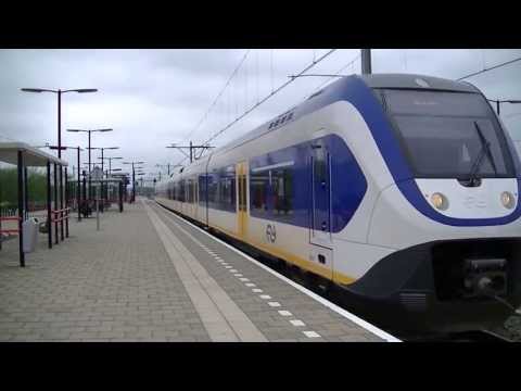 Treinen in Almere Oostvaarders - 1 juni 2013