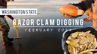 Razor Clam Digging, Washington State, February 2024