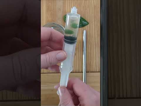 At Home #Photosynthesis Experiment! #scienceexperiment #science