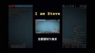 真のマインクラフターは身も心もSteveになる