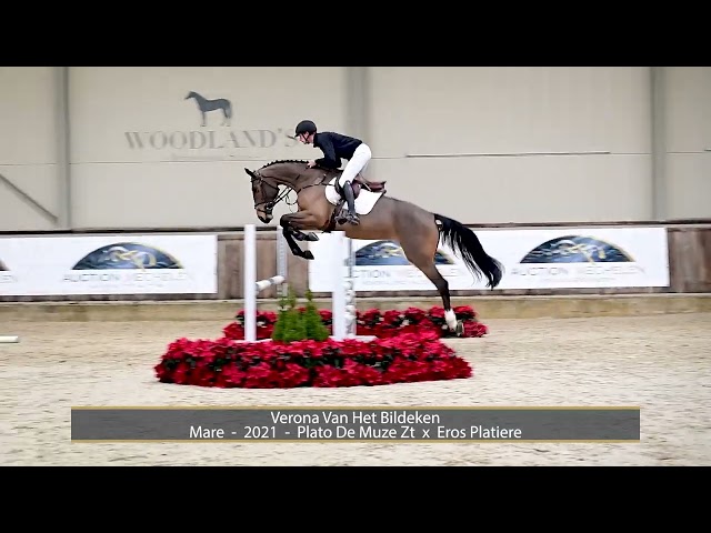 Verona Van Het Bildeken