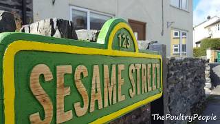 Handheld Router Projects - Sesame Street Wall Art Sign