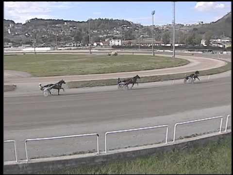 Trotto 26/02/2015 - 1° corsa