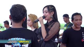 Download lagu Adella - Tak Ikhlasno (Ratu Ambyar Yeni Inka) mp3 Download lagu Adella - Tak Ikhlasno (Ratu Ambyar Yeni Inka) mp3