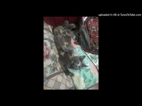 PANORASLIMXX - please baby remix  ( Alan Cave )