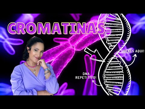 TIPOS DE CROMATINAS: EUCROMATINA E HETEROCROMATINA (CONSTITUTIVA E FACULTATIVA) | Thaís Magalhães