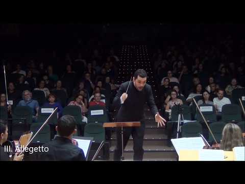 Shostakovich Chamber Symphony & Wagner Siegfried Idyll