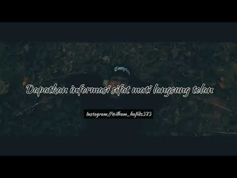 xibray ft lilyo - propaganja (story')