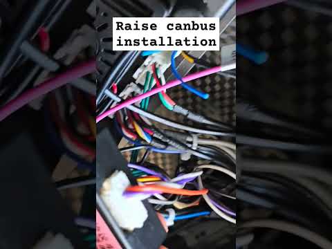 Raise canbus installation and connection #automobile