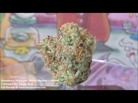 [Jungle Boys] Strawberry Shortcake