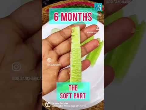 How to serve cucumber to babies #shorts