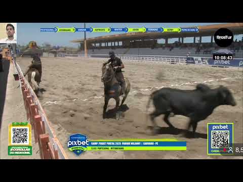 VAQUEJADA AO VIVO | 2° DIA CLASSIFICAÇÃO PROFISSIONAL PARQUE MILLANY| CAMPEONATO PIXBET PORTAL 2025