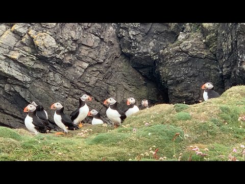 Fair Isle through a lens - Episode 24