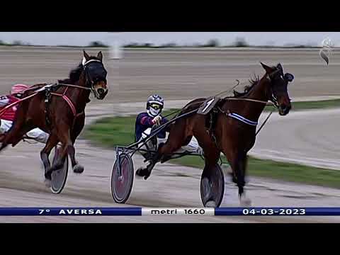 Aversa trotto 4 Marzo 2023 - 7° Corsa