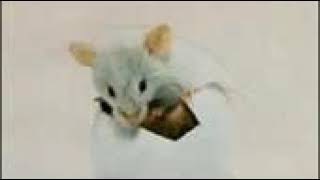 Triumvirat - Illusions On a Double Dimple