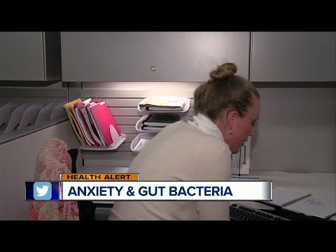 Anxiety and gut bacteria