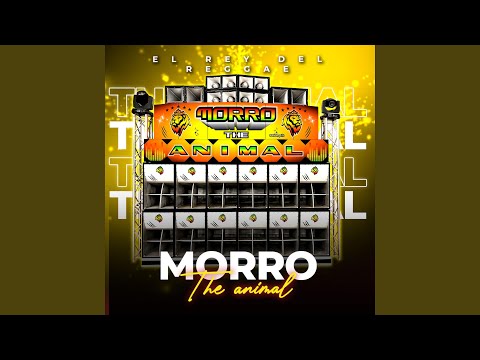 DAN LORA ORCHESTAL 2