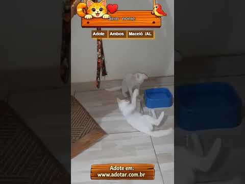Vídeo de Sem nome