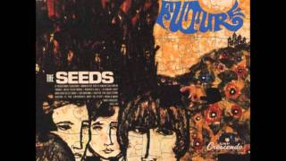 The Seeds - Two Fingers Pointing At You