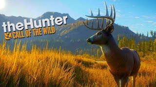 BEST BUDDIES IN THE WOODS! - theHunter Call of the Wild!