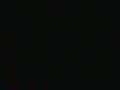 Low Pitched Black Screen Of Death On My Tough Guys 1987 VHS