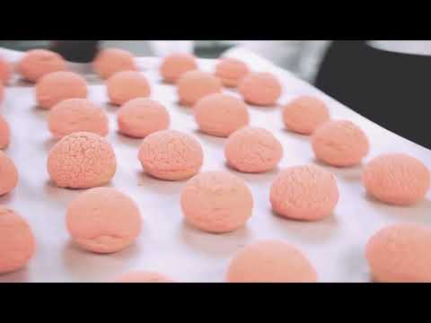 Choux Cream Cherry Blossom