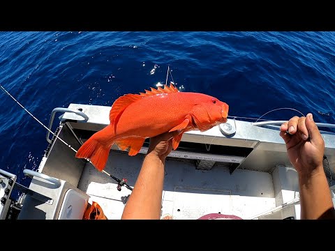 Fishing 1770/bunker group - solo overnight boat camping adventure  part 1