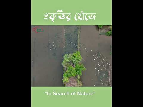 হাওড়ের অদেখা ক্যানভাস | The Haor’s Unseen Canvas!