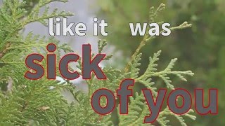 The Plot In You-Take Me Away (Lyric Video)