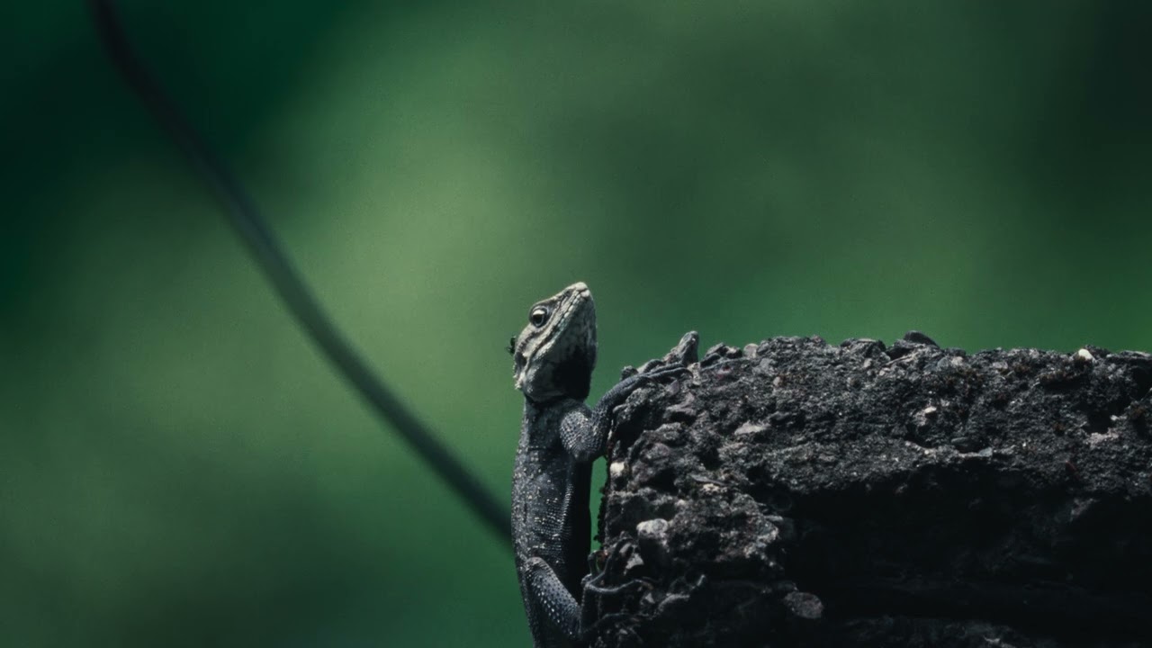 Trailer | Rains Don't Make Us Happy Anymore | Yashasvi Juyal