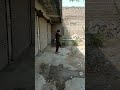 Pen Pistol Fire In Pakistan