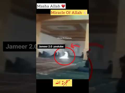 2 Part God's Miracle - Miracle Of Allah #shorts #status #short #trending