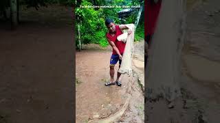 Download lagu Tutorial Cara lempar jala ikan/Kecrik #tutorial#lemparjala#jalaikan #short mp3